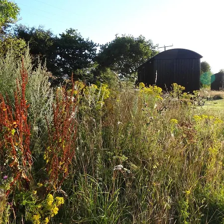 The Oaks Glamping - Pips Cabin Hotel Colkirk Exterior photo
